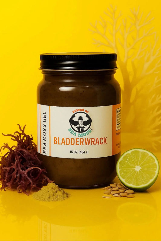Bladderwrack Sea Moss Gel