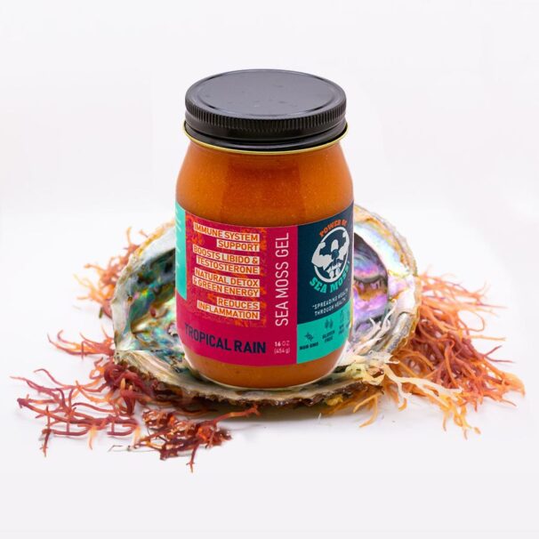 tropical rain sea moss gel jar beauty